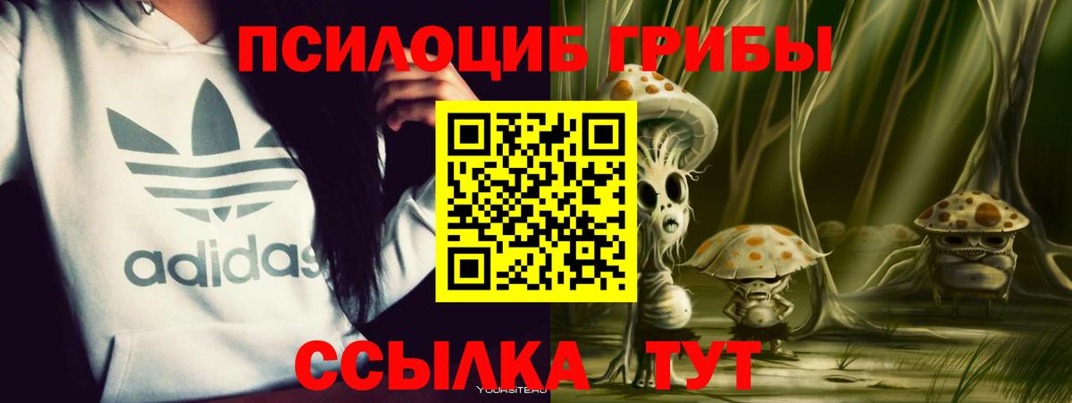 Галлюциногенные грибы MAGIC MUSHROOMS  Вход с VPN  Рязань 