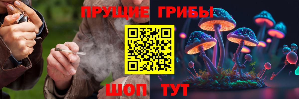 Галлюциногенные грибы GOLDEN TEACHER Рязань